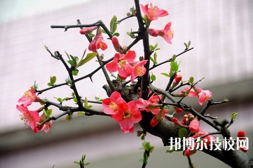 貴州廣播電影電視學(xué)校怎么樣、好不好