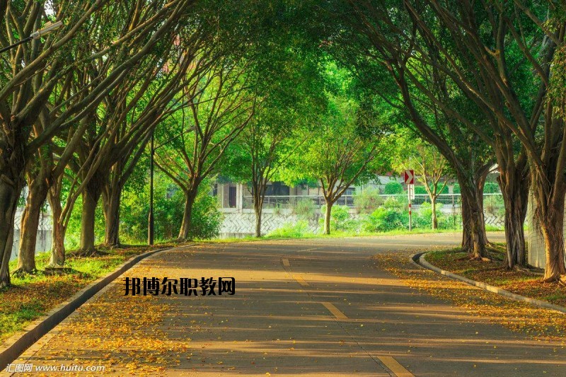 仙桃金園職業高級中學2020年報名條件、招生要求、招生對象