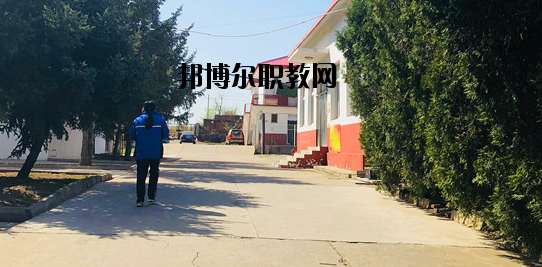 秦皇島奇石藝術學校怎么樣、好不好