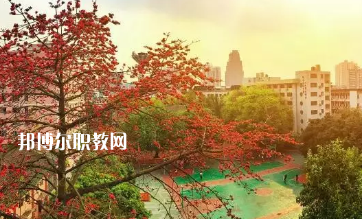 廣東省商業(yè)職業(yè)技術學校怎么樣、好不好