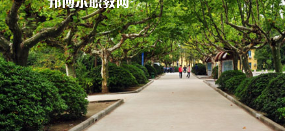 2023淮安市洪澤區技工學校招生計劃 招生人數是多少(附要求、條件、對象)